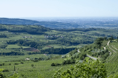 Italvin vous présente les vins provenant du domaine Campagnola