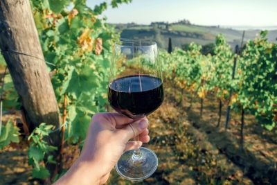 Italvin vous propose les vins Super Toscan